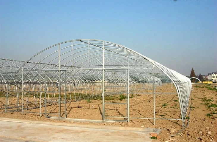 Tunnel Greenhouse 2.1
