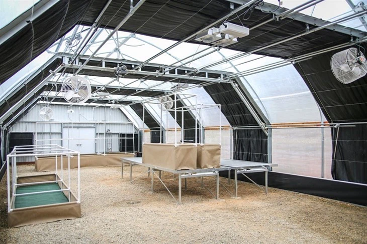 blackout greenhouse 2