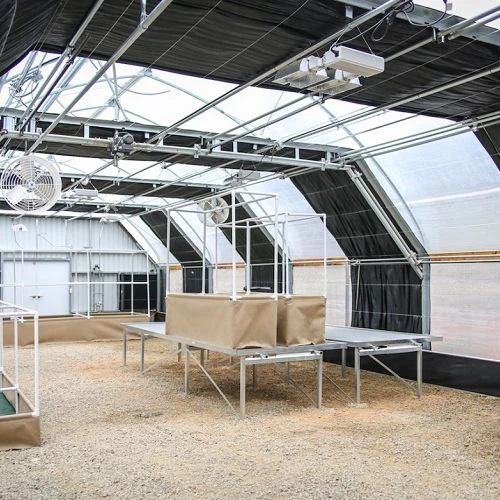 Sere comerciale cu privare de lumină