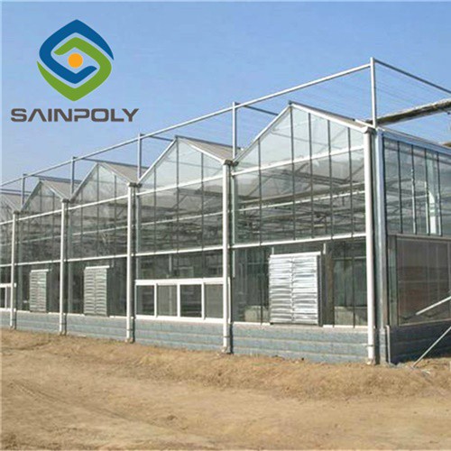 Hydroponic Planting Glass Greenhouse