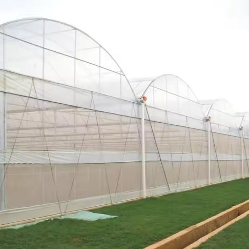 Poly Film Greenhouse