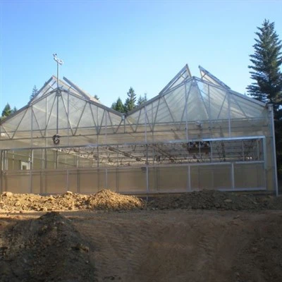 Sere agricole din pânză de umbră neagră