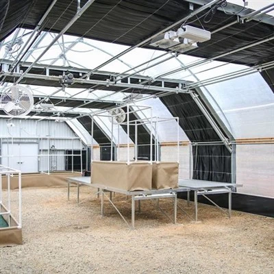 Sere comerciale cu privare de lumină