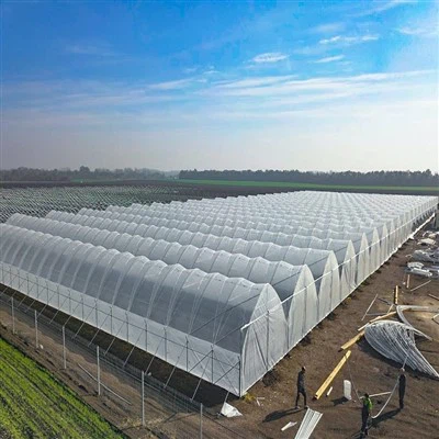 Seră pentru adăpost de ploaie